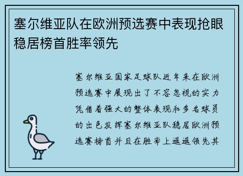 塞尔维亚队在欧洲预选赛中表现抢眼稳居榜首胜率领先