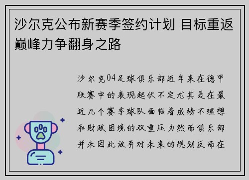 沙尔克公布新赛季签约计划 目标重返巅峰力争翻身之路