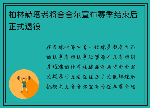 柏林赫塔老将舍舍尔宣布赛季结束后正式退役