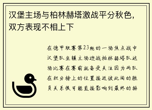 汉堡主场与柏林赫塔激战平分秋色，双方表现不相上下