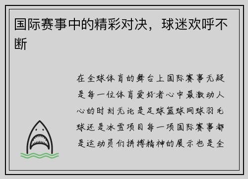 国际赛事中的精彩对决,球迷欢呼不断