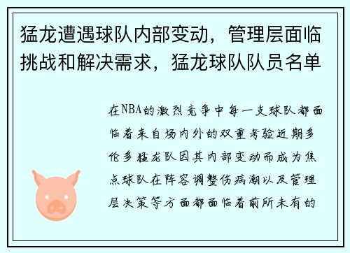 猛龙遭遇球队内部变动,管理层面临挑战和解决需求,猛龙球队队员名单