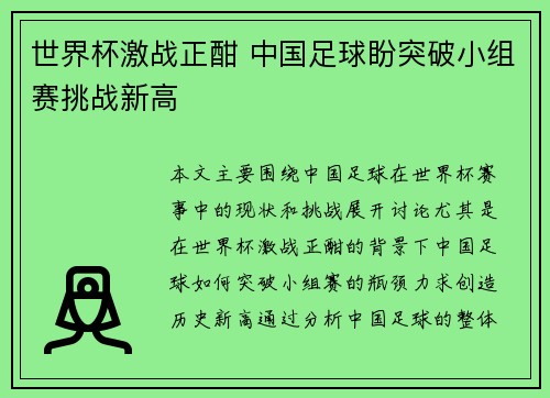 世界杯激战正酣 中国足球盼突破小组赛挑战新高