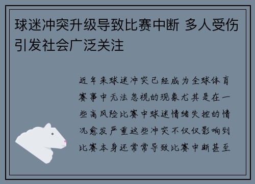 球迷冲突升级导致比赛中断 多人受伤引发社会广泛关注